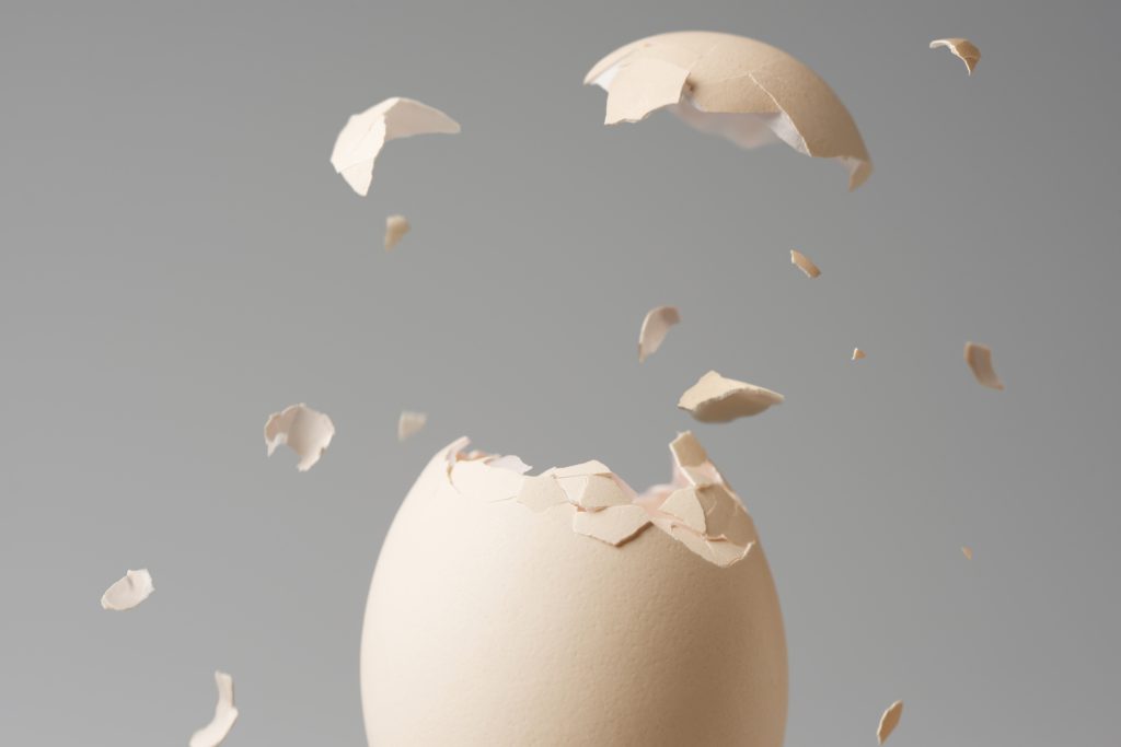 La cáscara de huevo, un material revolucionario para la regeneración ósea